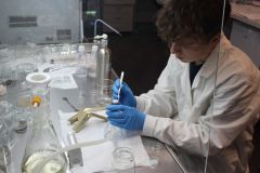 Od každodenních problémů k vědeckému výzkumu